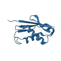 The deposited structure of PDB entry 5it7 contains 1 copy of Pfam domain PF01776 (Ribosomal L22e protein family) in KLLA0D05181p. Showing 1 copy in chain W [auth UU].