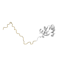 The deposited structure of PDB entry 5it7 contains 1 copy of Pfam domain PF03939 (Ribosomal protein L23, N-terminal domain) in Large ribosomal subunit protein uL23. Showing 1 copy in chain Z [auth XX].