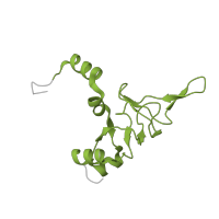 The deposited structure of PDB entry 5it7 contains 1 copy of Pfam domain PF16906 (Ribosomal proteins L26 eukaryotic, L24P archaeal) in KOW domain-containing protein. Showing 1 copy in chain AA [auth YY].