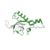 The deposited structure of PDB entry 5it7 contains 1 copy of Pfam domain PF01777 (Ribosomal L27e protein family) in 60S ribosomal protein L27. Showing 1 copy in chain BA [auth ZZ].