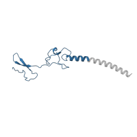 The deposited structure of PDB entry 5it7 contains 1 copy of Pfam domain PF01199 (Ribosomal protein L34e) in KLLA0C08371p. Showing 1 copy in chain IA [auth gg].