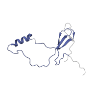 The deposited structure of PDB entry 5it7 contains 1 copy of Pfam domain PF00935 (Ribosomal protein L44) in Large ribosomal subunit protein eL42. Showing 1 copy in chain QA [auth oo].