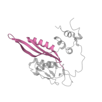 The deposited structure of PDB entry 5it7 contains 1 copy of Pfam domain PF00333 (Ribosomal protein S5, N-terminal domain) in S5 DRBM domain-containing protein. Showing 1 copy in chain XA [auth C].