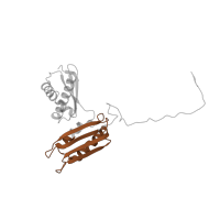 The deposited structure of PDB entry 5it7 contains 1 copy of Pfam domain PF00189 (Ribosomal protein S3, C-terminal domain) in 40S ribosomal protein S3. Showing 1 copy in chain YA [auth D].