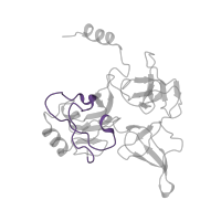 The deposited structure of PDB entry 5it7 contains 1 copy of Pfam domain PF08071 (RS4NT (NUC023) domain) in 40S ribosomal protein S4. Showing 1 copy in chain ZA [auth E].
