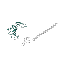 The deposited structure of PDB entry 5it7 contains 1 copy of Pfam domain PF01092 (Ribosomal protein S6e) in Small ribosomal subunit protein eS6. Showing 1 copy in chain BB [auth G].