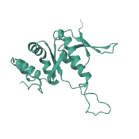 The deposited structure of PDB entry 5it7 contains 1 copy of Pfam domain PF01251 (Ribosomal protein S7e) in 40S ribosomal protein S7. Showing 1 copy in chain CB [auth H].
