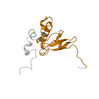 The deposited structure of PDB entry 5it7 contains 1 copy of Pfam domain PF00203 (Ribosomal protein S19) in Rps15. Showing 1 copy in chain KB [auth P].
