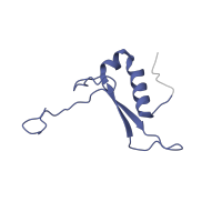 The deposited structure of PDB entry 5it7 contains 1 copy of Pfam domain PF01249 (Ribosomal protein S21e) in Small ribosomal subunit protein eS21. Showing 1 copy in chain QB [auth V].