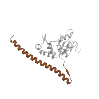 The deposited structure of PDB entry 5it7 contains 1 copy of Pfam domain PF08079 (Ribosomal L30 N-terminal domain) in KLLA0D03410p. Showing 1 copy in chain I [auth FF].