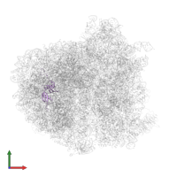 60S ribosomal protein L20 in PDB entry 5it7, assembly 1, front view.