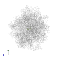 Rpl32 in PDB entry 5it7, assembly 1, side view.