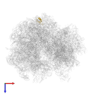 Rpl38 in PDB entry 5it7, assembly 1, top view.