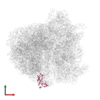 Ribosomal protein in PDB entry 5it7, assembly 1, front view.