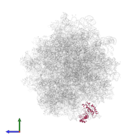 Ribosomal protein in PDB entry 5it7, assembly 1, side view.