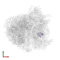 40S ribosomal protein S12 in PDB entry 5it7, assembly 1, front view.