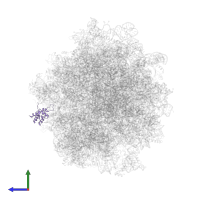 40S ribosomal protein S12 in PDB entry 5it7, assembly 1, side view.