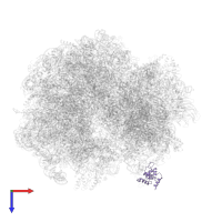 40S ribosomal protein S12 in PDB entry 5it7, assembly 1, top view.