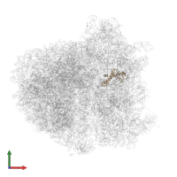 Ribosomal protein S13/S15 N-terminal domain-containing protein in PDB entry 5it7, assembly 1, front view.