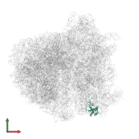 KLLA0A07194p in PDB entry 5it7, assembly 1, front view.