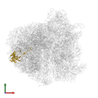 60S ribosomal protein L4 C-terminal domain-containing protein in PDB entry 5it7, assembly 1, front view.