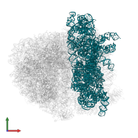 18S Ribosomal RNA in PDB entry 5it7, assembly 1, front view.