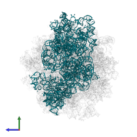 18S Ribosomal RNA in PDB entry 5it7, assembly 1, side view.