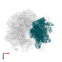 18S Ribosomal RNA in PDB entry 5it7, assembly 1, top view.