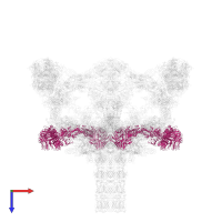 Baseplate protein gp9 in PDB entry 5iv5, assembly 1, top view.