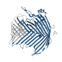 The deposited structure of PDB entry 5iva contains 1 copy of Pfam domain PF04453 (LPS transport system D) in LPS-assembly protein LptD. Showing 1 copy in chain A.