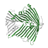 The deposited structure of PDB entry 5ixm contains 4 copies of Pfam domain PF04453 (LPS transport system D) in LPS-assembly protein LptD. Showing 1 copy in chain A.