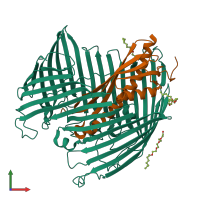 Hetero dimeric assembly 4 of PDB entry 5ixm coloured by chemically distinct molecules, front view.