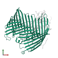 LPS-assembly protein LptD in PDB entry 5ixm, assembly 4, front view.