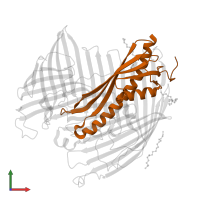 LPS-assembly lipoprotein LptE in PDB entry 5ixm, assembly 4, front view.