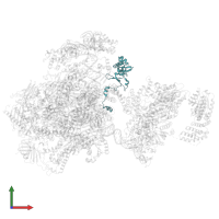 Transcription initiation factor IIE subunit beta in PDB entry 5iy9, assembly 1, front view.