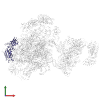 DNA-directed RNA polymerase II subunit RPB3 in PDB entry 5iy9, assembly 1, front view.