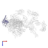 DNA-directed RNA polymerase II subunit RPB3 in PDB entry 5iy9, assembly 1, top view.