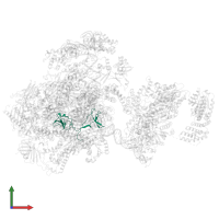 DNA-directed RNA polymerase II subunit RPB9 in PDB entry 5iy9, assembly 1, front view.