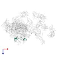 DNA-directed RNA polymerase II subunit RPB9 in PDB entry 5iy9, assembly 1, top view.