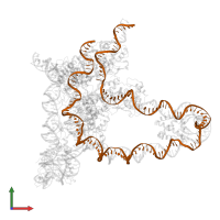 attB(-21) to attP(+117) in PDB entry 5j0n, assembly 1, front view.