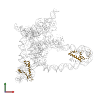 Integration host factor subunit beta in PDB entry 5j0n, assembly 1, front view.