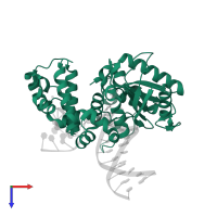 DNA polymerase beta in PDB entry 5j2a, assembly 1, top view.