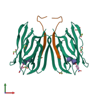 Hetero tetrameric assembly 1 of PDB entry 5j50 coloured by chemically distinct molecules, front view.