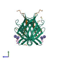 Hetero tetrameric assembly 1 of PDB entry 5j50 coloured by chemically distinct molecules, side view.