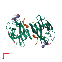 Hetero tetrameric assembly 2 of PDB entry 5j50 coloured by chemically distinct molecules, top view.