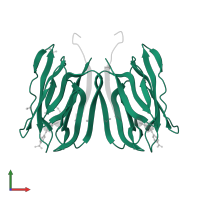 Agglutinin alpha chain in PDB entry 5j50, assembly 2, front view.