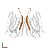 Agglutinin beta-3 chain in PDB entry 5j50, assembly 2, front view.