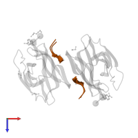 Agglutinin beta-3 chain in PDB entry 5j50, assembly 2, top view.