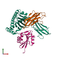 Hetero tetrameric assembly 1 of PDB entry 5j6g coloured by chemically distinct molecules, front view.