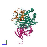 Hetero tetrameric assembly 1 of PDB entry 5j6g coloured by chemically distinct molecules, side view.